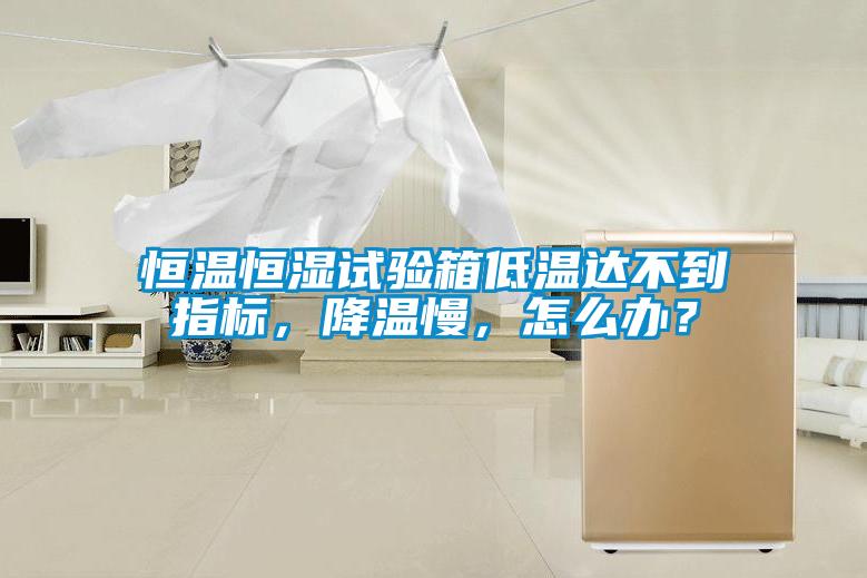 恒溫恒濕試驗箱低溫達不到指標，降溫慢，怎么辦？