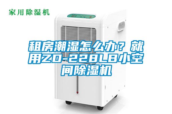 租房潮濕怎么辦？就用ZD-228LB小空間除濕機(jī)