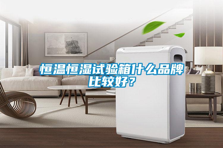 恒溫恒濕試驗(yàn)箱什么品牌比較好？