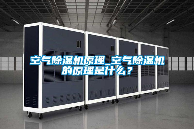 空氣除濕機原理_空氣除濕機的原理是什么？