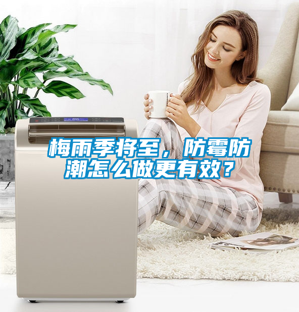 梅雨季將至，防霉防潮怎么做更有效？