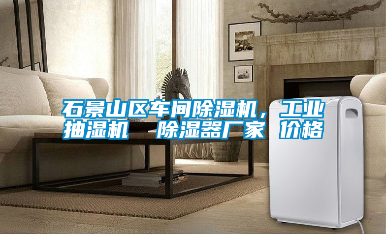 石景山區(qū)車間除濕機(jī)，工業(yè)抽濕機(jī)  除濕器廠家 價格