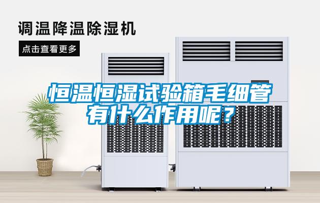 恒溫恒濕試驗箱毛細(xì)管有什么作用呢？