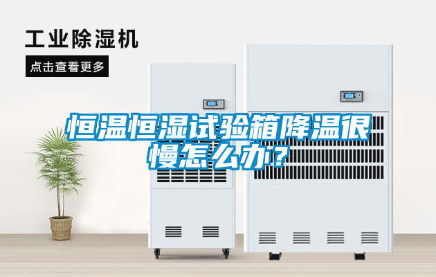 恒溫恒濕試驗箱降溫很慢怎么辦？
