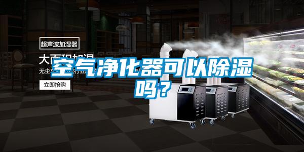 空氣凈化器可以除濕嗎？