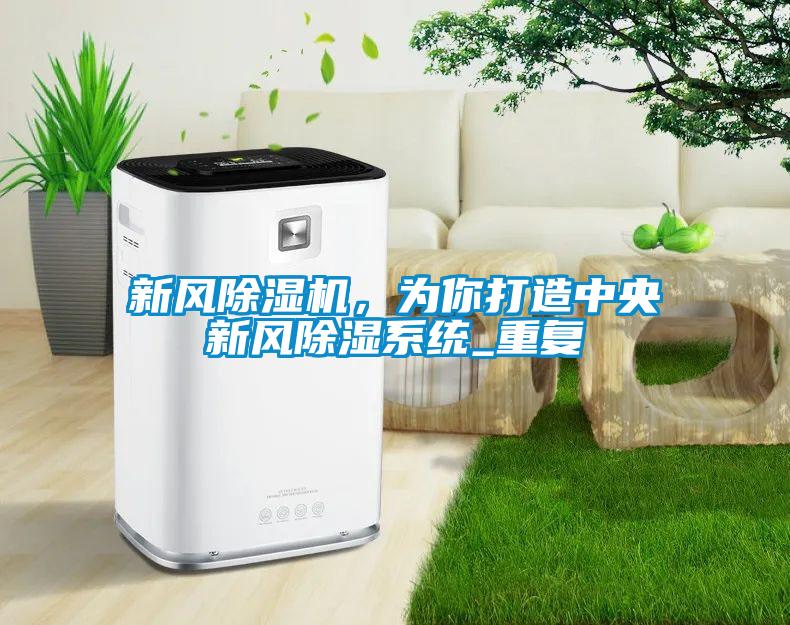 新風(fēng)除濕機(jī)，為你打造中央新風(fēng)除濕系統(tǒng)_重復(fù)