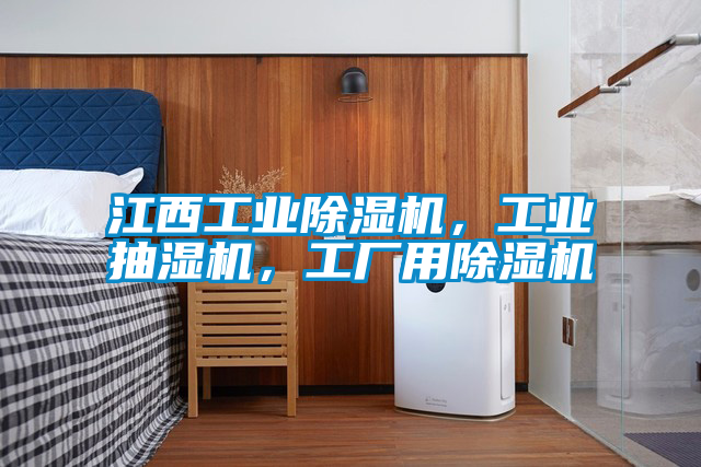 江西工業(yè)除濕機(jī)，工業(yè)抽濕機(jī)，工廠用除濕機(jī)