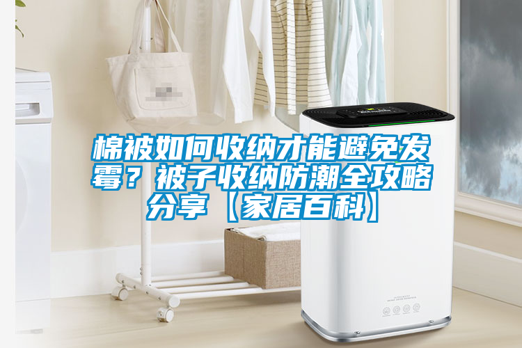棉被如何收納才能避免發(fā)霉？被子收納防潮全攻略分享【家居百科】