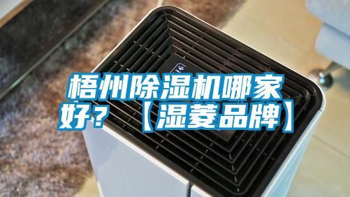 梧州除濕機(jī)哪家好？【濕菱品牌】