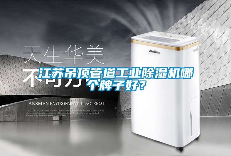江蘇吊頂管道工業(yè)除濕機(jī)哪個牌子好？