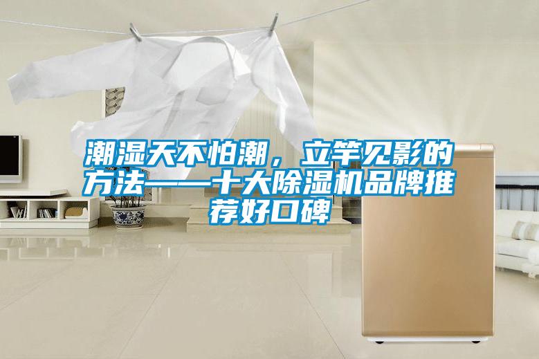 潮濕天不怕潮，立竿見影的方法——十大除濕機品牌推薦好口碑