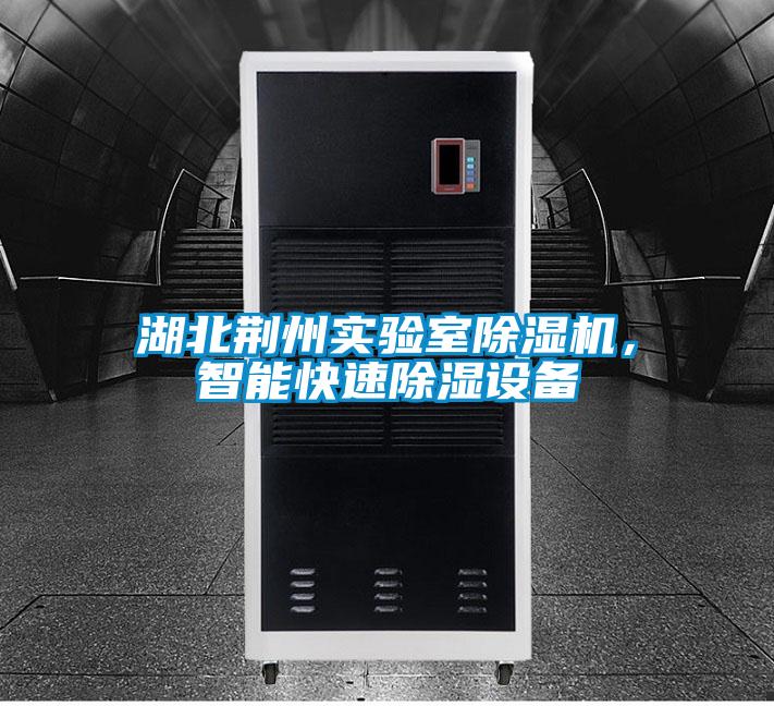 湖北荊州實(shí)驗(yàn)室除濕機(jī)，智能快速除濕設(shè)備