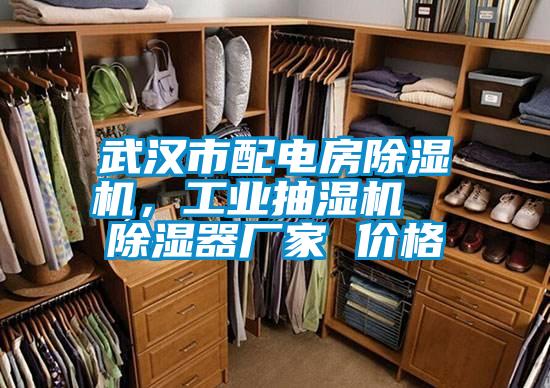 武漢市配電房除濕機(jī)，工業(yè)抽濕機(jī)  除濕器廠家 價(jià)格