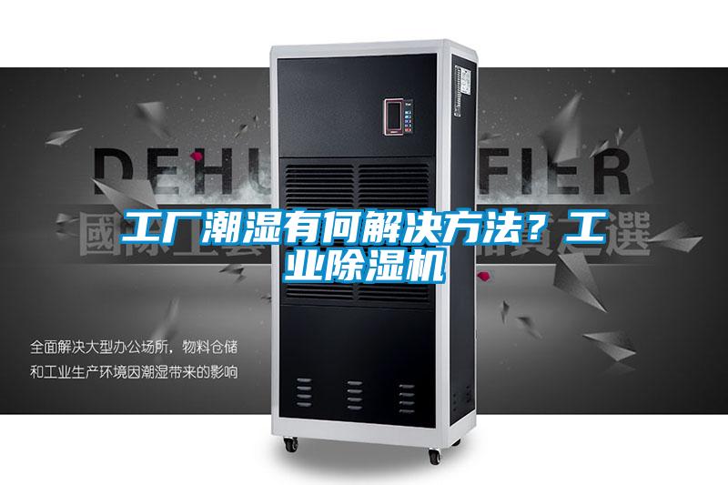 工廠潮濕有何解決方法？工業(yè)除濕機(jī)