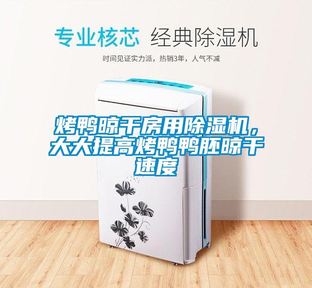 烤鴨晾干房用除濕機(jī)，大大提高烤鴨鴨胚晾干速度
