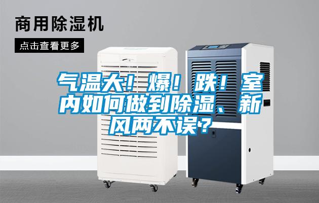 氣溫大！爆！跌！室內如何做到除濕、新風兩不誤？