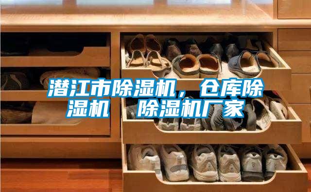 潛江市除濕機(jī)，倉(cāng)庫(kù)除濕機(jī)  除濕機(jī)廠家