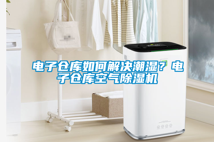 電子倉庫如何解決潮濕？電子倉庫空氣除濕機