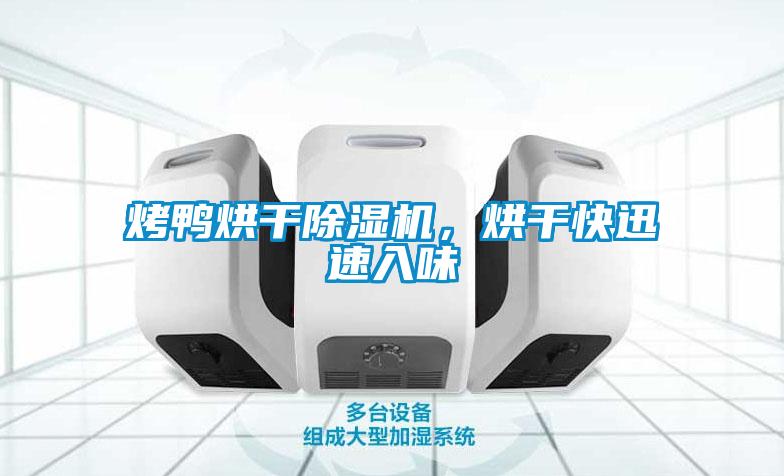 烤鴨烘干除濕機(jī)，烘干快迅速入味