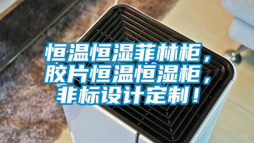 恒溫恒濕菲林柜，膠片恒溫恒濕柜，非標(biāo)設(shè)計(jì)定制！
