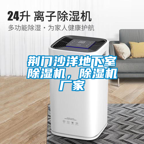荊門沙洋地下室除濕機(jī)，除濕機(jī)廠家