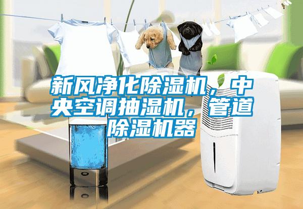 新風(fēng)凈化除濕機(jī)，中央空調(diào)抽濕機(jī)，管道除濕機(jī)器
