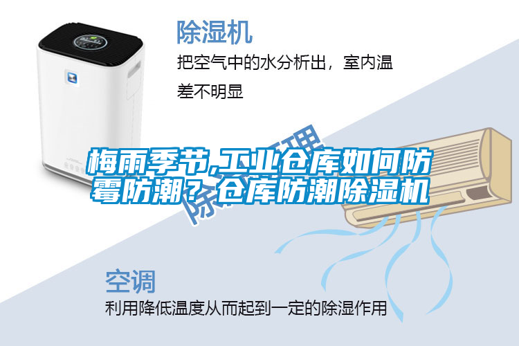 梅雨季節(jié),工業(yè)倉庫如何防霉防潮？倉庫防潮除濕機