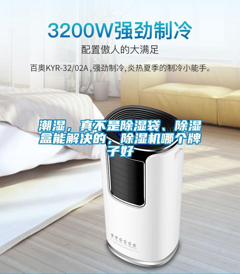 潮濕，真不是除濕袋、除濕盒能解決的，除濕機哪個牌子好