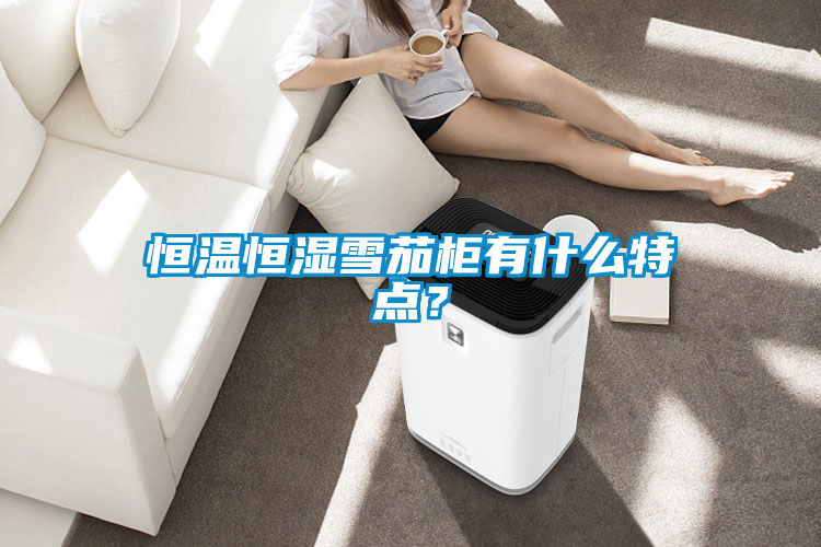 恒溫恒濕雪茄柜有什么特點(diǎn)？