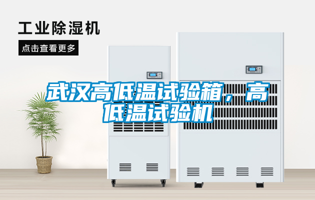 武漢高低溫試驗(yàn)箱，高低溫試驗(yàn)機(jī)