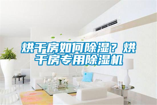 烘干房如何除濕？烘干房專用除濕機(jī)