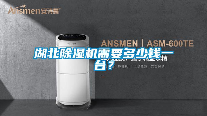 湖北除濕機需要多少錢一臺？
