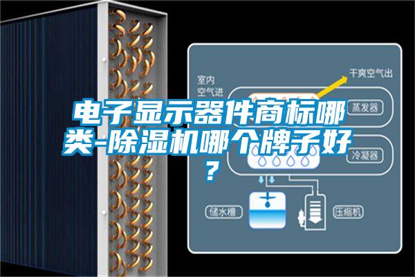 電子顯示器件商標(biāo)哪類-除濕機哪個牌子好？
