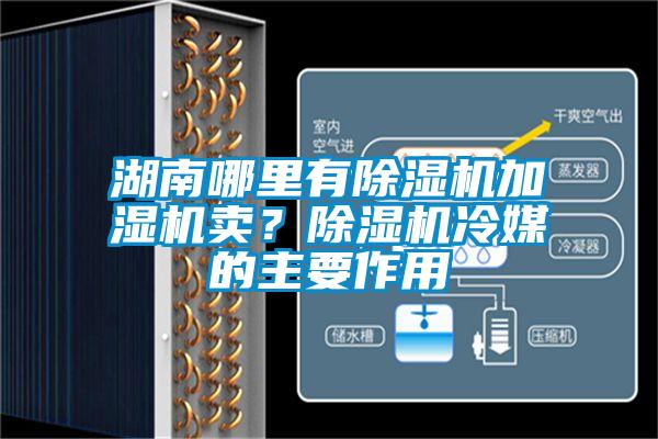 湖南哪里有除濕機加濕機賣？除濕機冷媒的主要作用