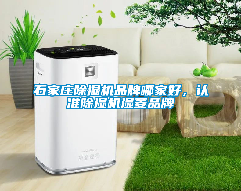 石家莊除濕機(jī)品牌哪家好，認(rèn)準(zhǔn)除濕機(jī)濕菱品牌