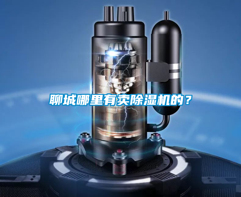 聊城哪里有賣(mài)除濕機(jī)的？