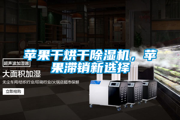 蘋果干烘干除濕機(jī)，蘋果滯銷新選擇