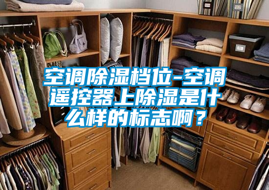 空調(diào)除濕檔位-空調(diào)遙控器上除濕是什么樣的標(biāo)志?。?></div>
								<div   id=
