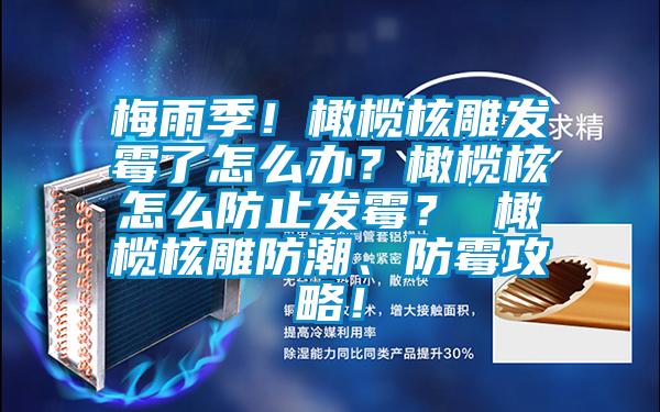 梅雨季！橄欖核雕發(fā)霉了怎么辦？橄欖核怎么防止發(fā)霉？ 橄欖核雕防潮、防霉攻略！