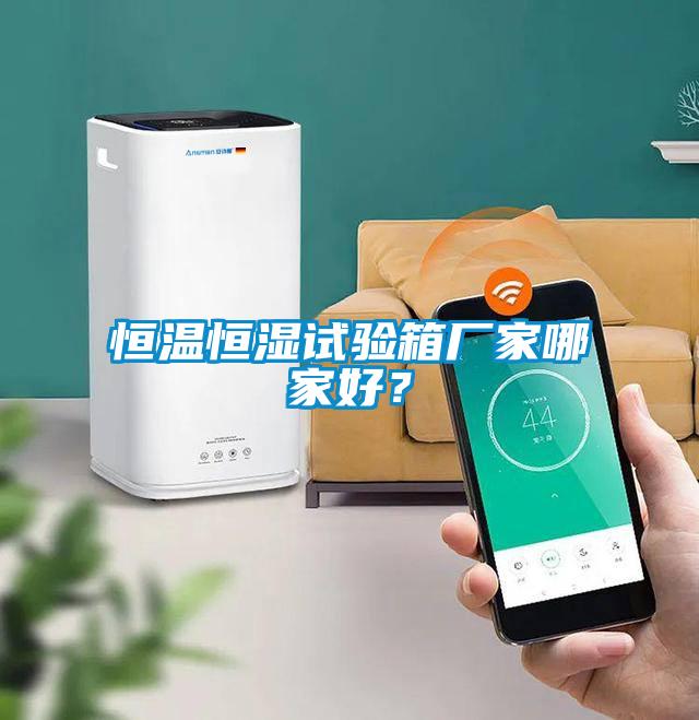 恒溫恒濕試驗(yàn)箱廠家哪家好？