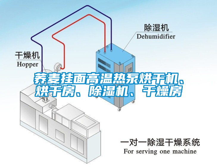 蕎麥掛面高溫?zé)岜煤娓蓹C(jī)、烘干房、除濕機(jī)、干燥房