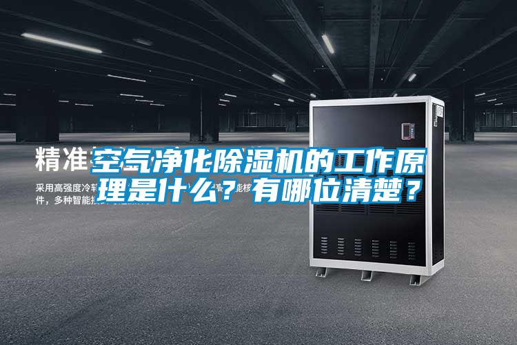 空氣凈化除濕機(jī)的工作原理是什么？有哪位清楚？