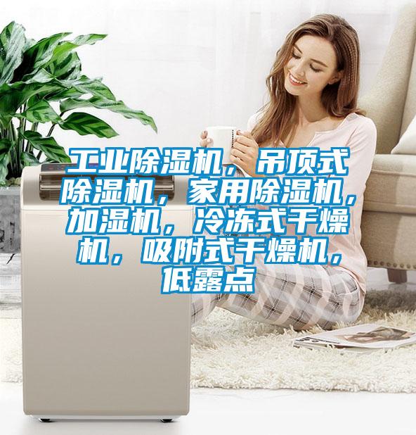 工業(yè)除濕機(jī)，吊頂式除濕機(jī)，家用除濕機(jī)，加濕機(jī)，冷凍式干燥機(jī)，吸附式干燥機(jī)，低露點(diǎn)