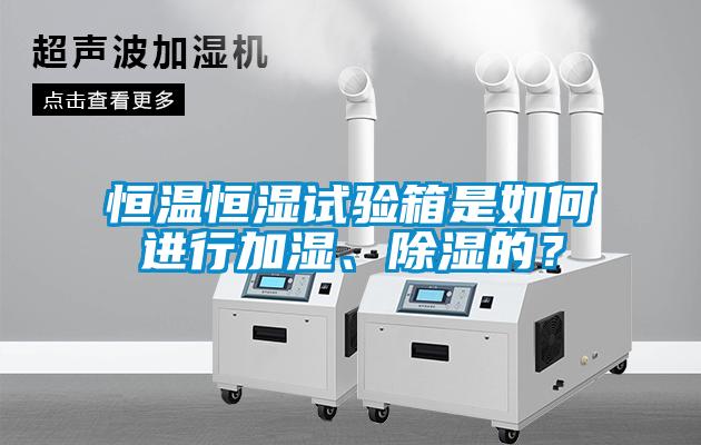 恒溫恒濕試驗(yàn)箱是如何進(jìn)行加濕、除濕的？