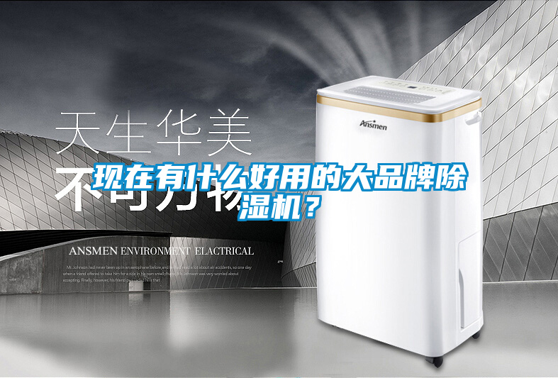 現(xiàn)在有什么好用的大品牌除濕機(jī)？