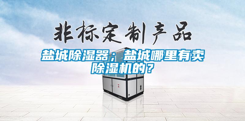 鹽城除濕器；鹽城哪里有賣(mài)除濕機(jī)的？
