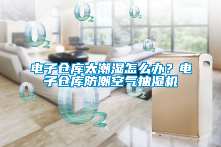 電子倉庫太潮濕怎么辦？電子倉庫防潮空氣抽濕機(jī)