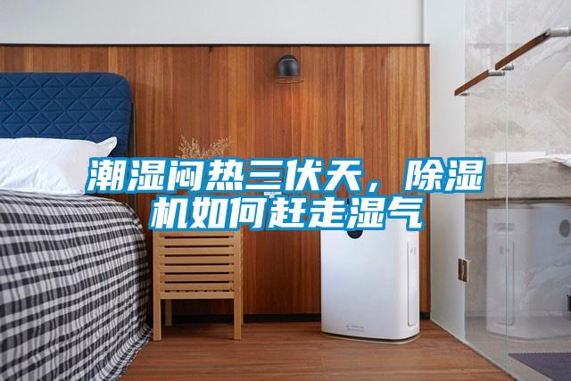 潮濕悶熱三伏天，除濕機(jī)如何趕走濕氣