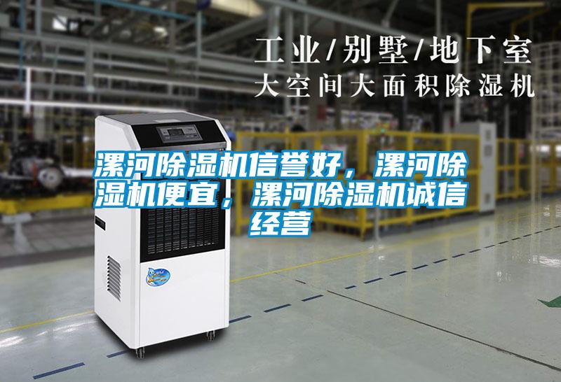漯河除濕機(jī)信譽(yù)好，漯河除濕機(jī)便宜，漯河除濕機(jī)誠(chéng)信經(jīng)營(yíng)