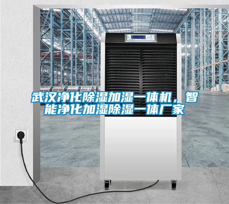 武漢凈化除濕加濕一體機，智能凈化加濕除濕一體廠家